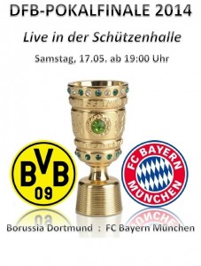DFB-Pokalfinale 2014